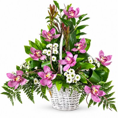 Orchid and Chrysanthemum Basket
